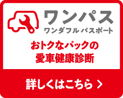 ワンパス